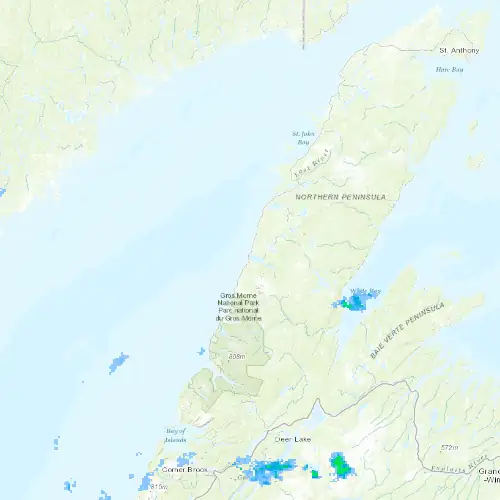 Radar near Daniel's Harbour at now — 12:30 am NDT, Tue Sep 8