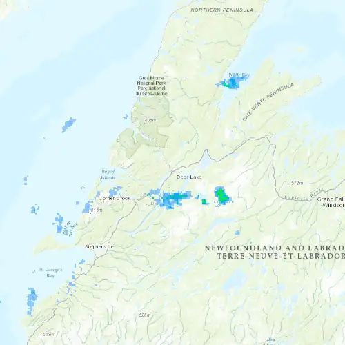 Radar near Deer Lake at now — 12:30 am NDT, Tue Sep 8