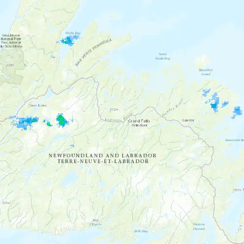 Radar near Grand Falls-Windsor at now — 12:36 am NDT, Tue Sep 8