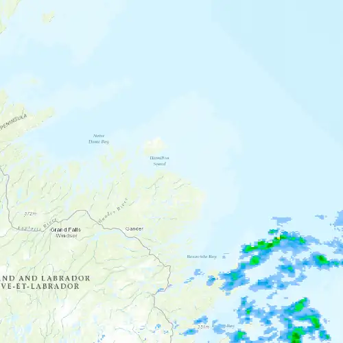 Radar near Musgrave Harbour at now — 3:42 am NDT, Sat Jul 11